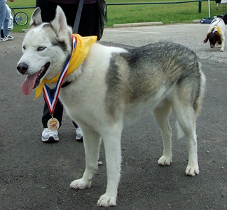 Hound Dog Hustle 2009 Winner 2.JPG